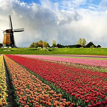 فندق Logeren Op Dijk43 Broek op Langedijk الغرفة الصورة
